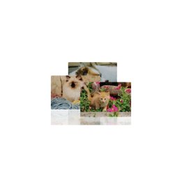 Puzzle Dreptunghi Personalizat