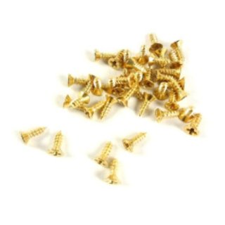 Șurub 10x2.5mm